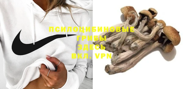 Альфа ПВП Абаза